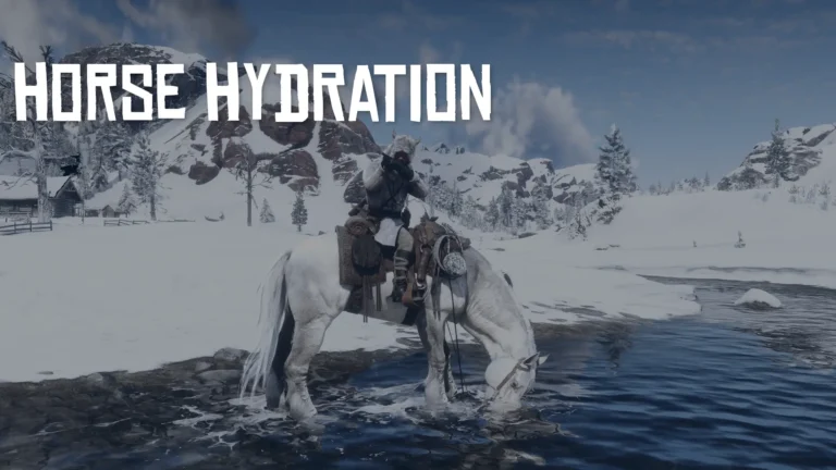 Horse Hydration 768x432 1
