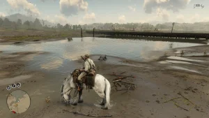 Horse Hydration5
