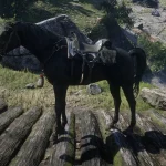 Horse Lantern2 2