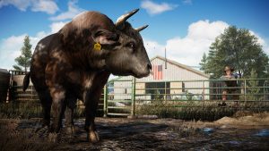 Far Cry 5 SiLaSDL.iR 6