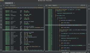 Binary Ninja SiLaSDL