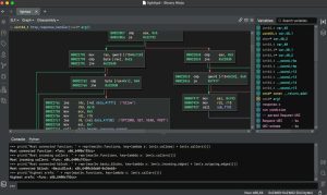 Binary Ninja SiLaSDL2