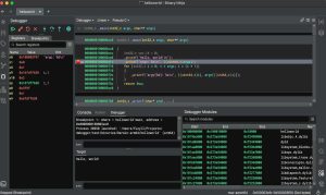 Binary Ninja SiLaSDL5